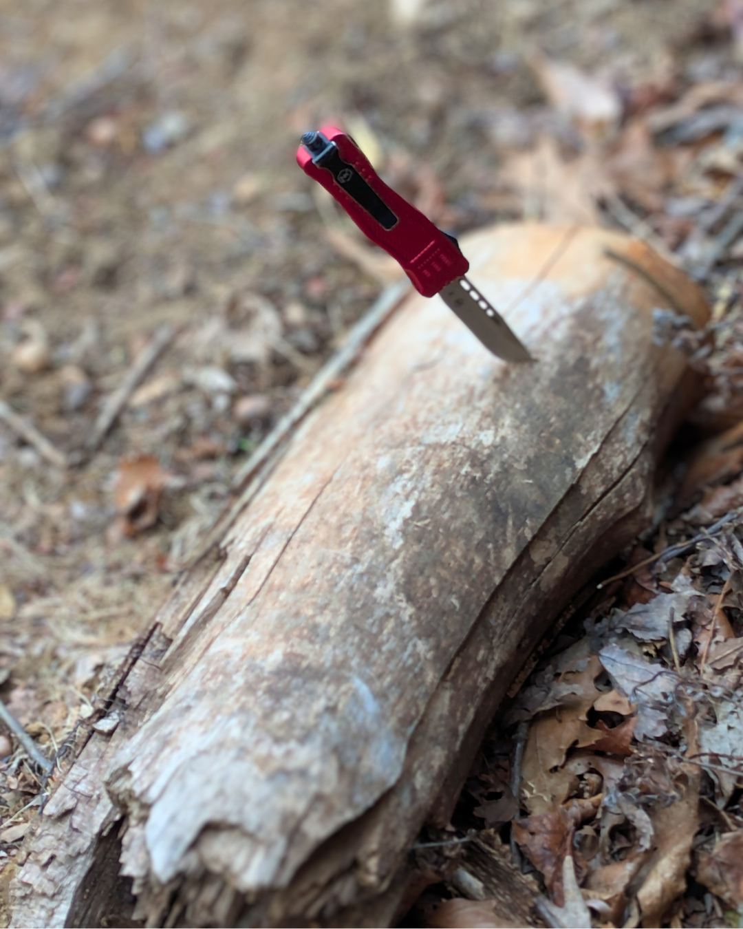 Red out the front pocket knife with black belt clip and glass-breaker end thrown into a log. Background is dried fall leaves.
